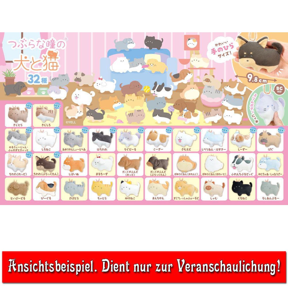 kameco-tsuburainuneko-pl-schanh-nger-cats-siam-9-8-cm image 2