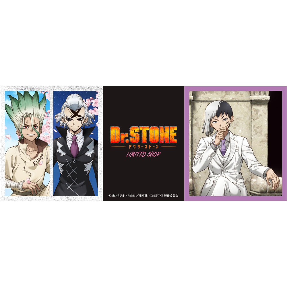 kameco-dr-stone-gen-clearfile-birthday-2025-din-a4 image 2