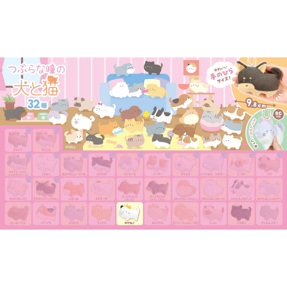 kameco-tsuburainuneko-pl-schanh-nger-cats-mikeneko-9-8-cm image 1