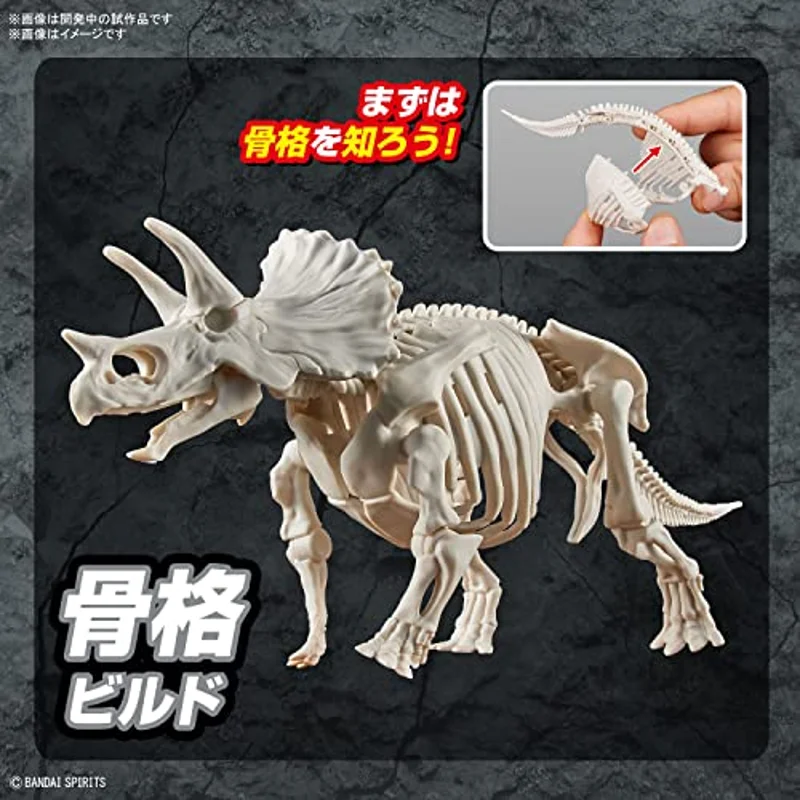 bandai-plannosaurus-triceratops-modellbausatz-dino image 4