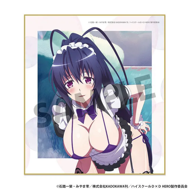 high-school-dxd-akeno-shikishi-sexy-maid-version-12x13-5-cm image 1