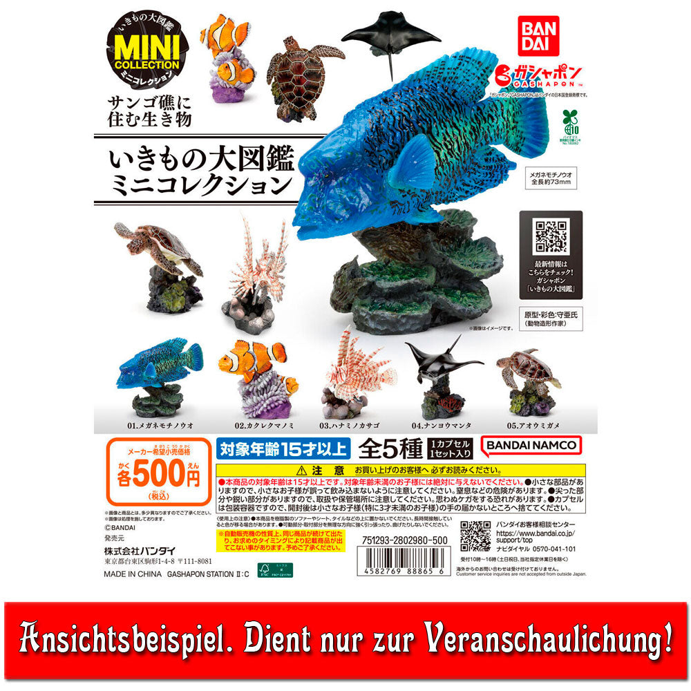 bandai-coral-reef-sea-turtle-gashapon-figur-7-3-cm image 2
