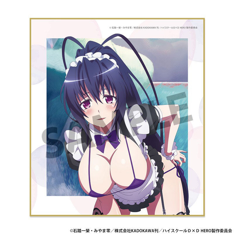 high-school-dxd-akeno-shikishi-sexy-maid-version-12x13-5-cm image 1