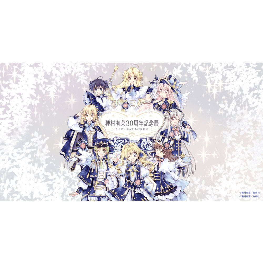 kameco-shikishi-arina-tanemura-30th-anniversary-blindbag image 2