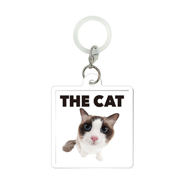 bandai-the-cat-and-friends-anh-nger-ragdoll-mejirushi-4-cm image 1