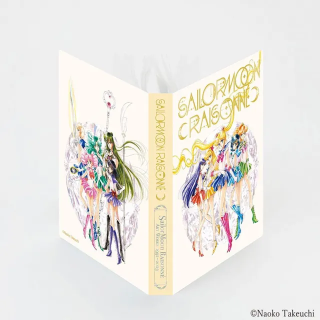 sailor-moon-raisonne-postkarten-ordner-album-40-karten image 1