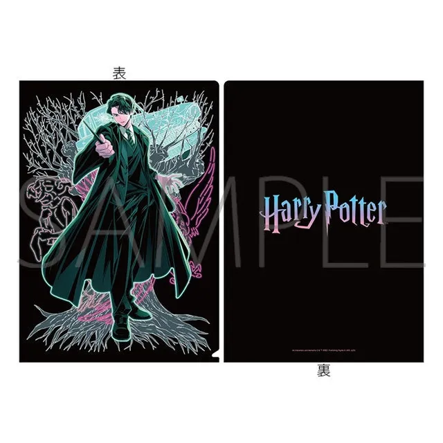 kameco-harry-potter-tom-riddle-clearfile-din-a4-mappe image 1