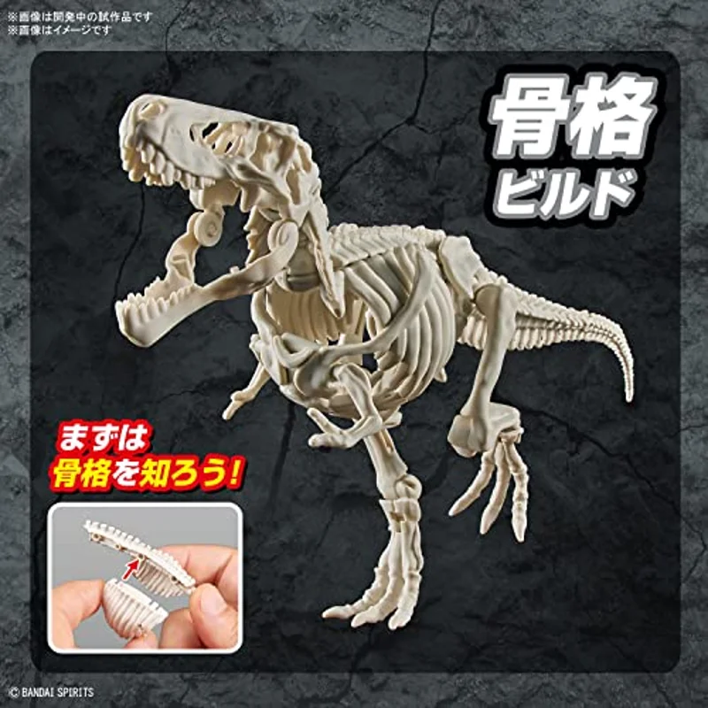 bandai-plannosaurus-tyrannosaurus-modellbausatz-dinosaurier image 4