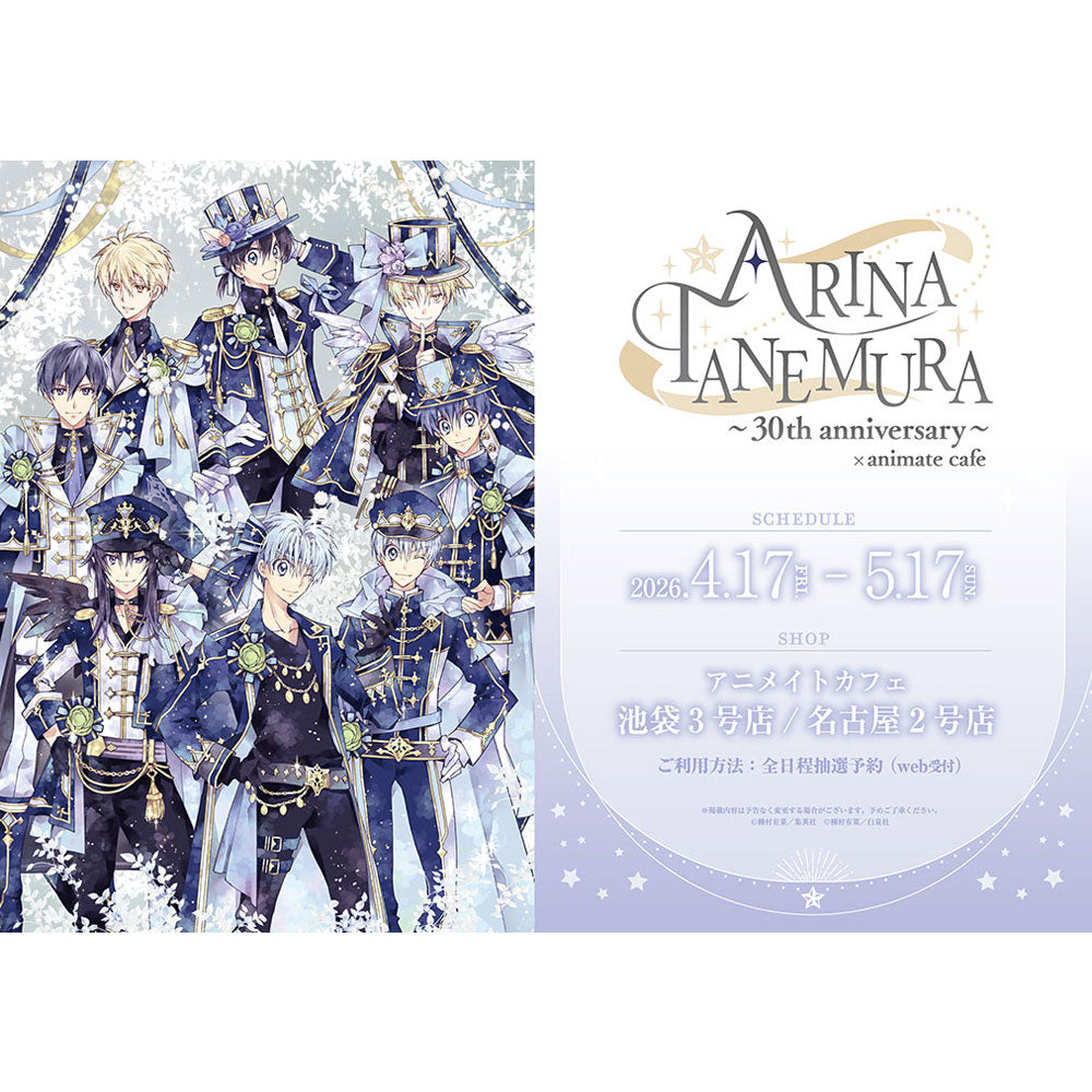 kameco-poster-arina-tanemura-30th-anniversary-print-din-a4-blindbag image 2